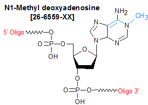 picture of N1-Methyl dA (m1dA)